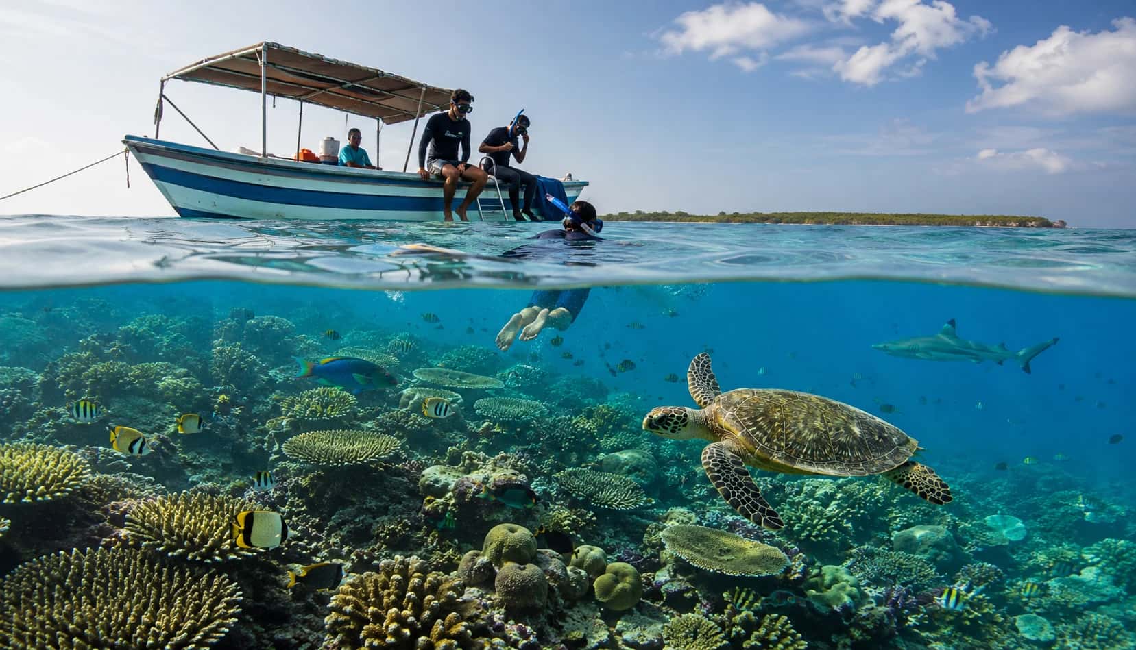 Bar Reef Kalpitiya: Snorkelling and Diving Guide