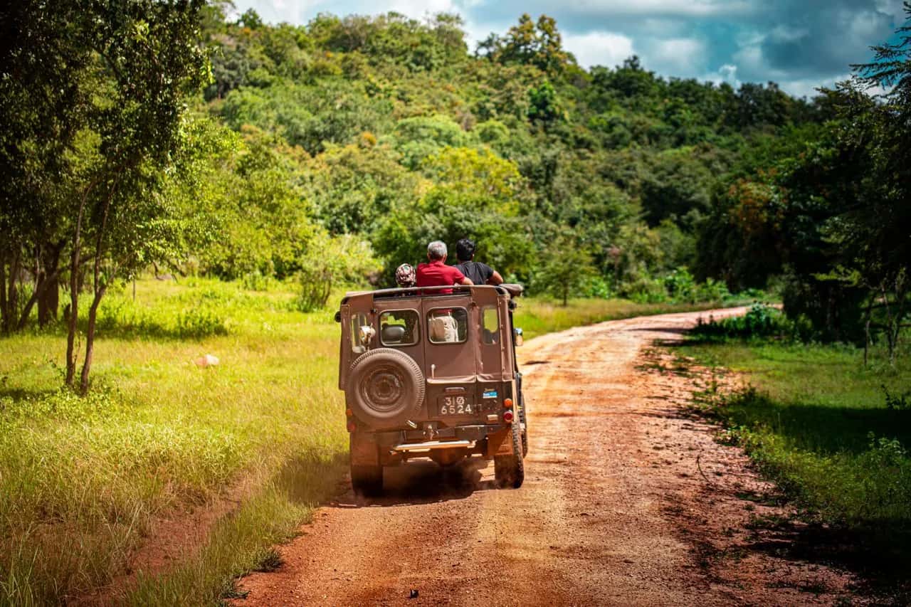 A Complete Guide To Exploring Sri Lanka In 7 Days