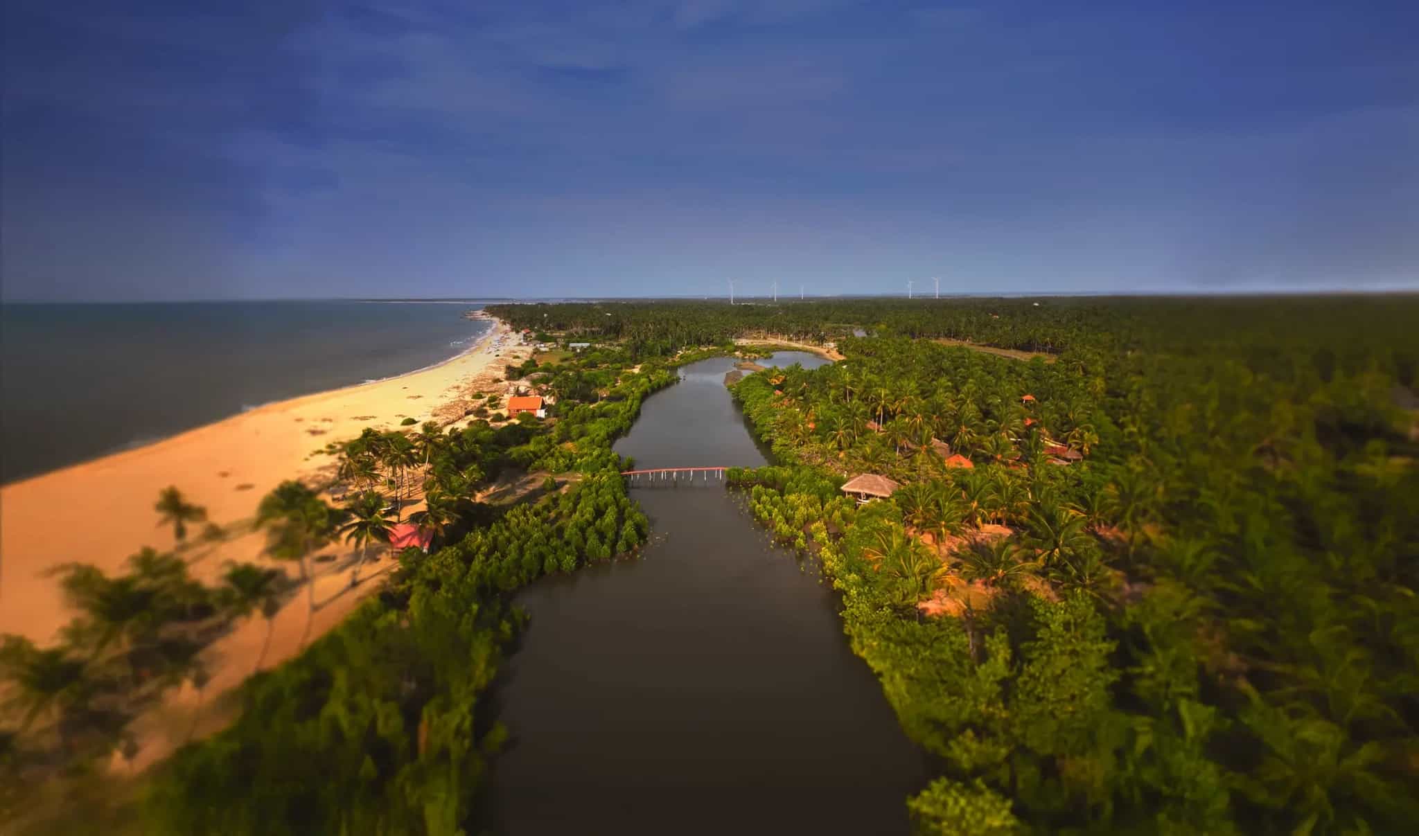 Kalpitiya Weather by Month: Best Time to Visit for Wind, Dolphins & Sun