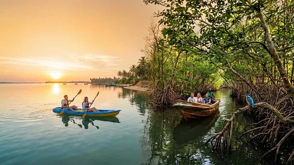 Lagoon Kayaking & Mangrove Tours in Kalpitiya: Full Guide